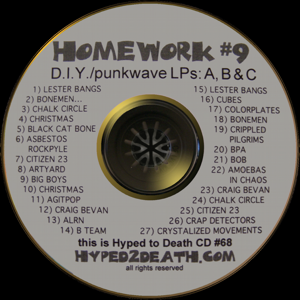 Homework 9 DIY Punkwave cd disc