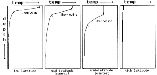 thermocl