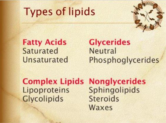 Types of lipids