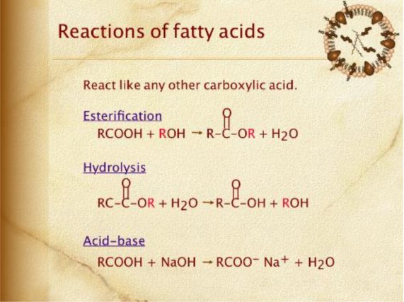 reactions of fatty acids