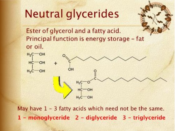 neutral glycerides