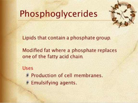 phosphoglycerides