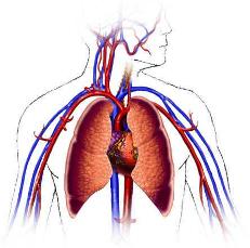 Cardiovascular Technology Image
