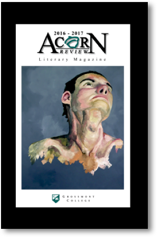 2016-2017 Acorn Review covrer