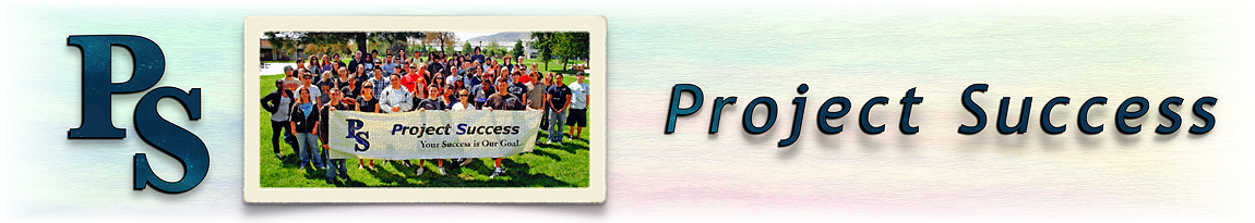 Project Success impact banner