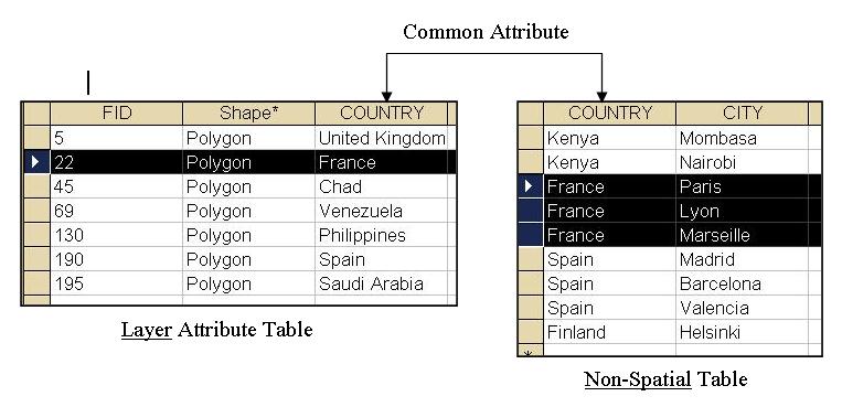 Related Tables