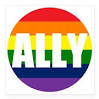 An “ally” is a term used to describe someone who is supportive of LGBT people. It encompasses non-LGBT allies as well as those within the LGBT community who support each other, e.g. a lesbian who is an ally to the bisexual community. 
